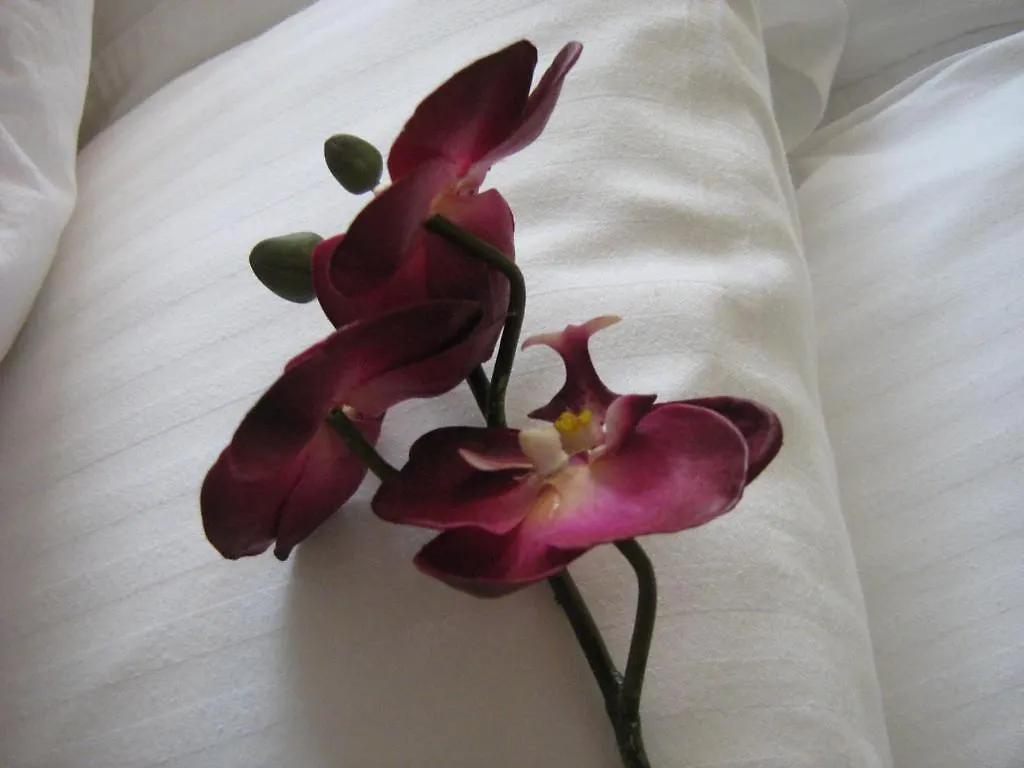 Yonge Suites Furnished Apartments contacts